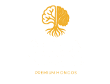 Home Sabia Mente Index Sabia Mente Hongos