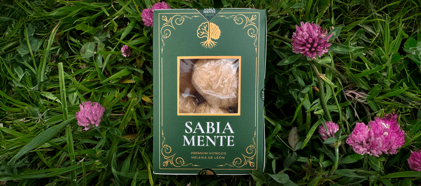 CAJA-SABIA-MENTE-banner