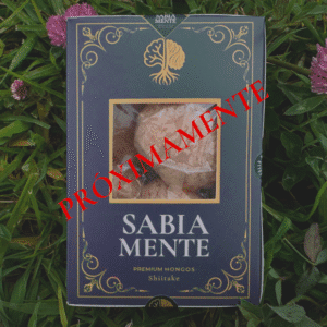 Shiitake Fresco (Peso neto 50g)