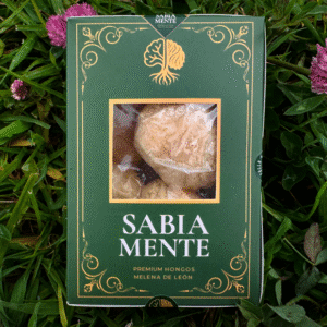 Hongo Comestible Melena de león Fresco (peso neto: 50gr)