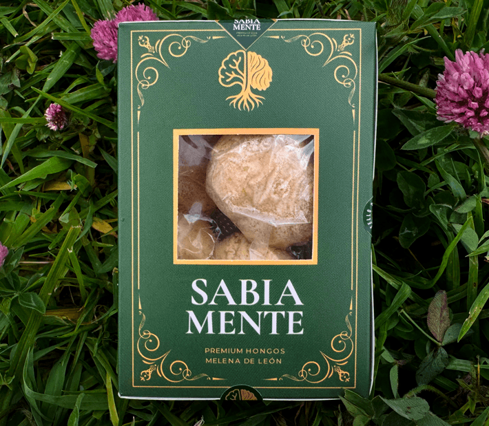 banner-web-sabia-mente